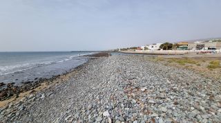 2024-03-Playa_La_Caleta-046.jpg